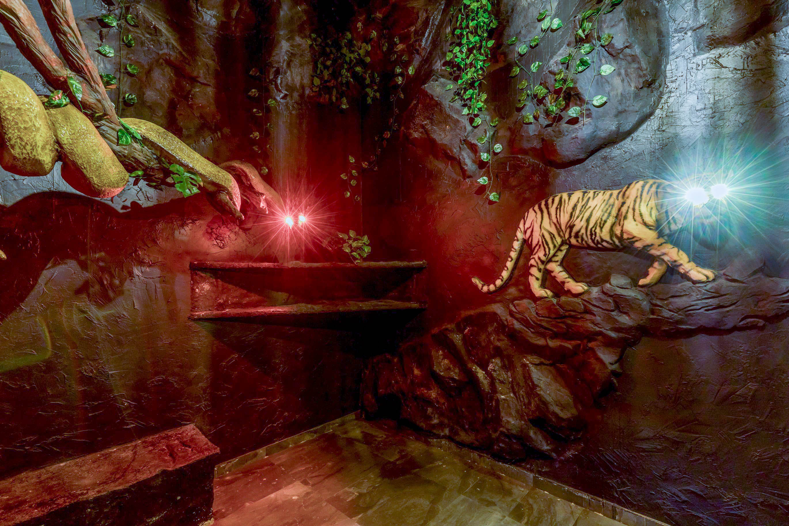 Jungle Safari — MG  Jungle Safari